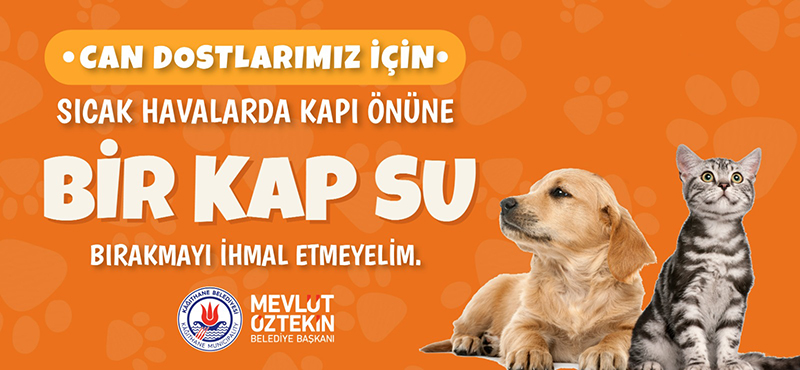 Can Dostlarımız İçin Bir Kap Su.