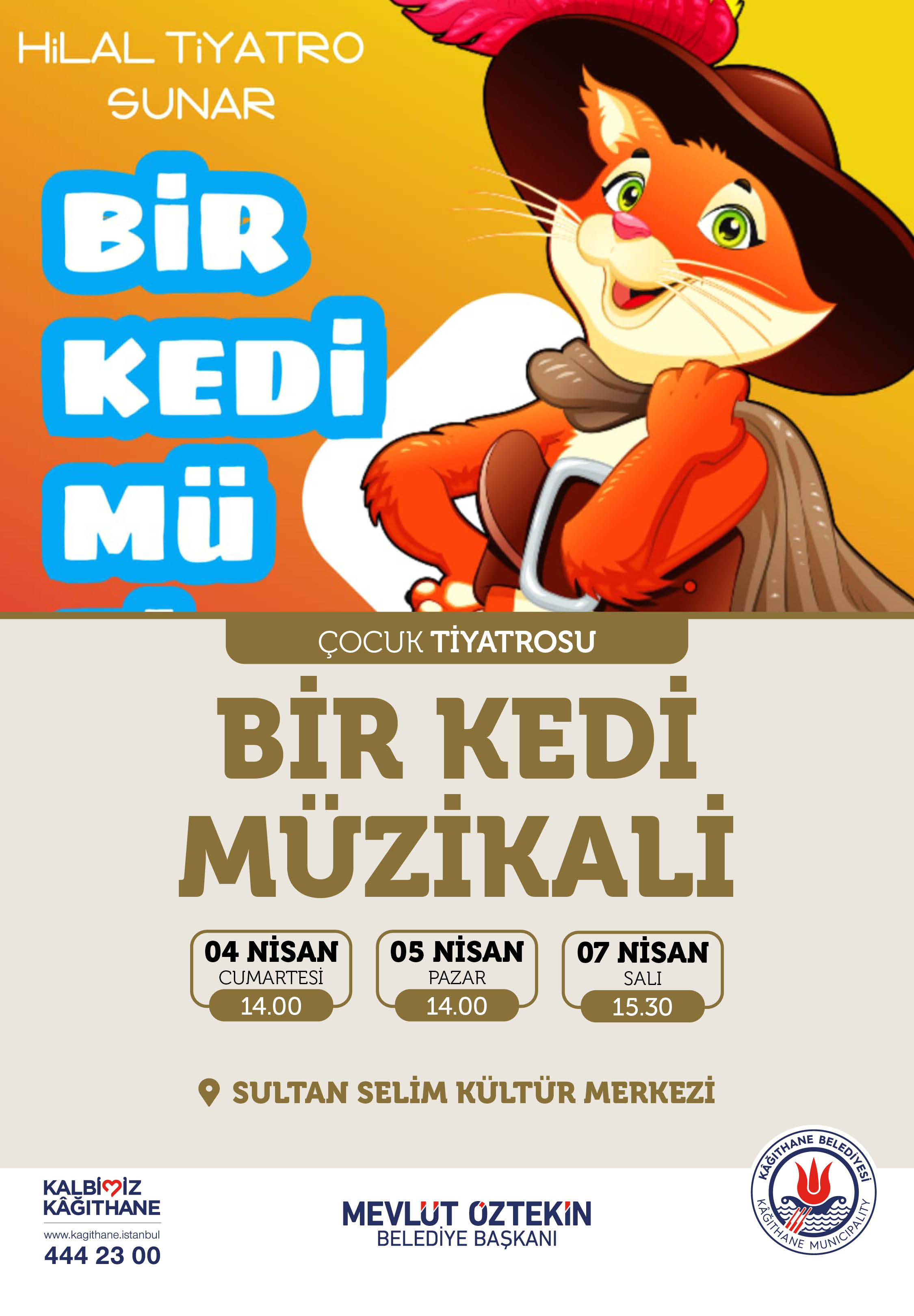 BİR KEDİ MÜZİKALİ
