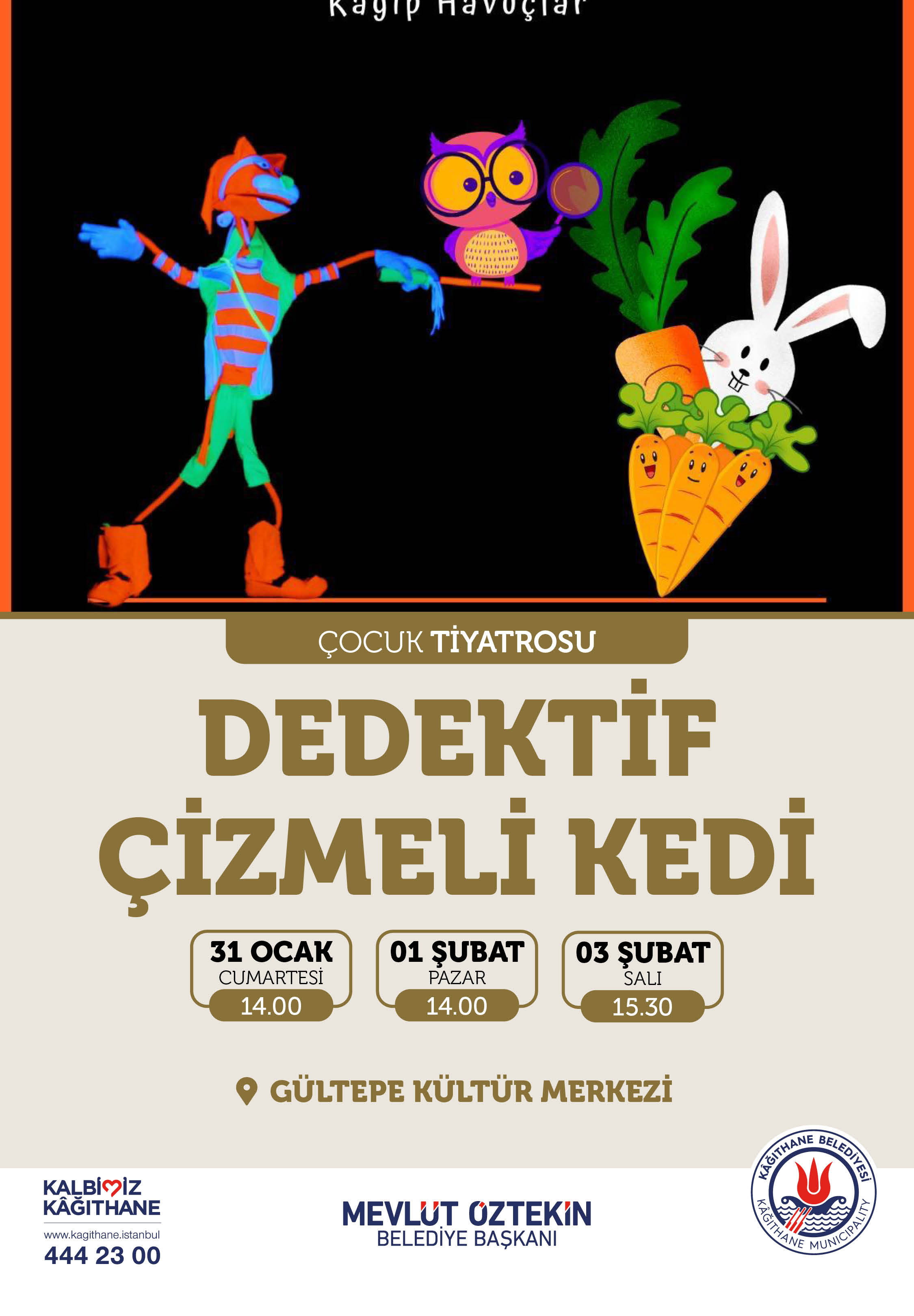 DEDEKTİF ÇİZMELİ KEDİ