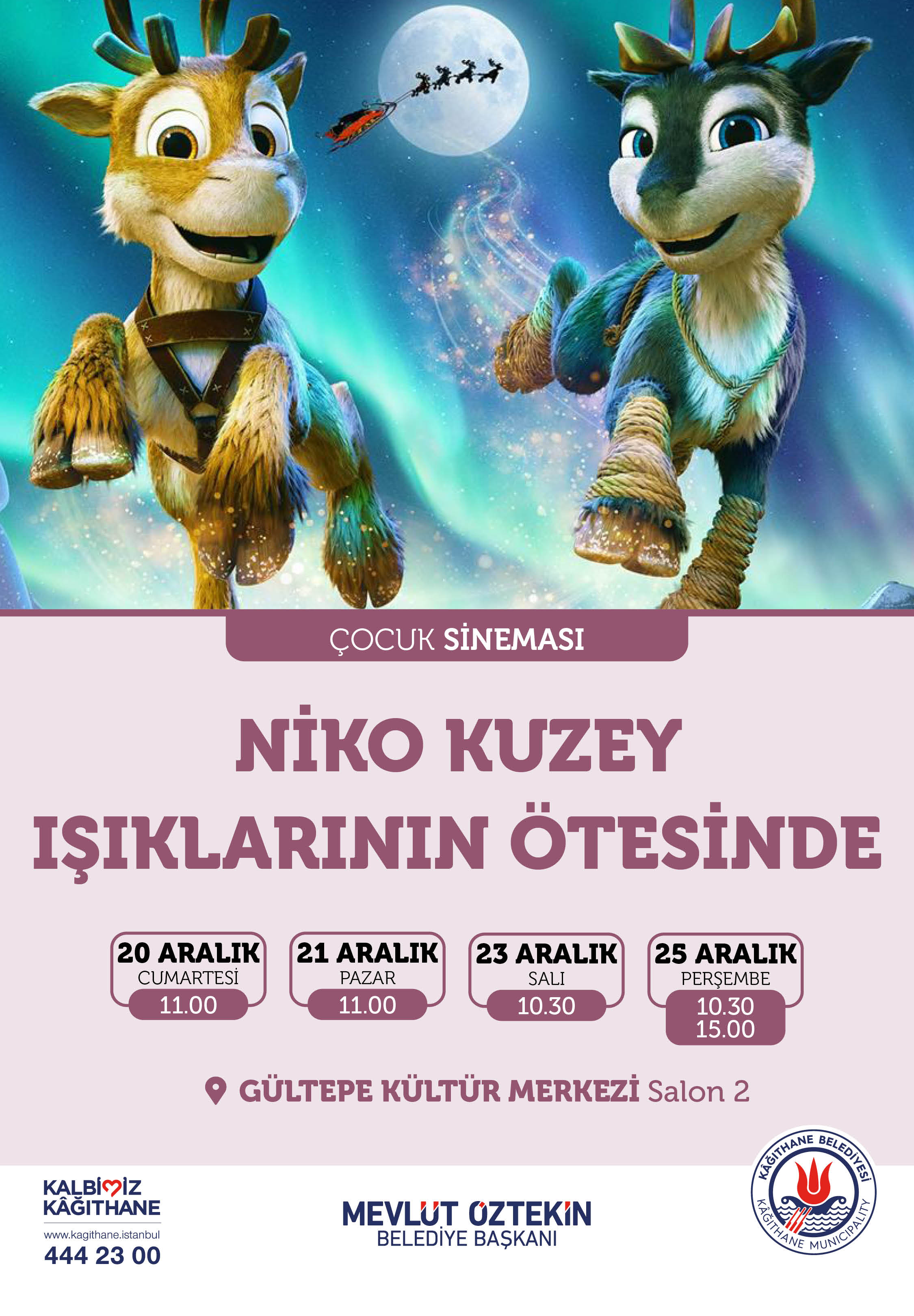 NİKO KUZEY IŞIKLARININ ÖTESİNDE